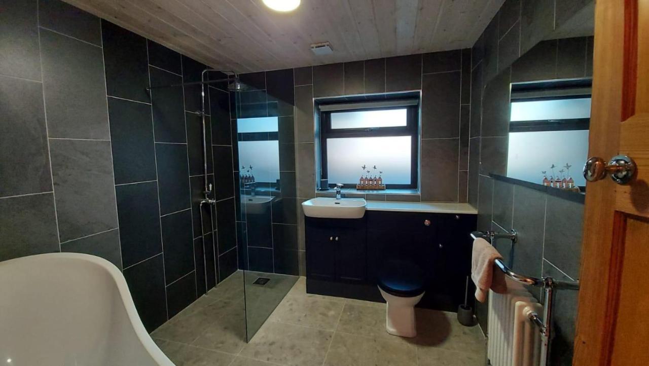 No 1 Dolheulog Aberaeron Sa46 0Ep Exterior foto